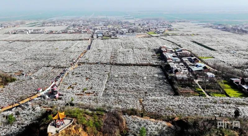 图片4.png 图片4.png