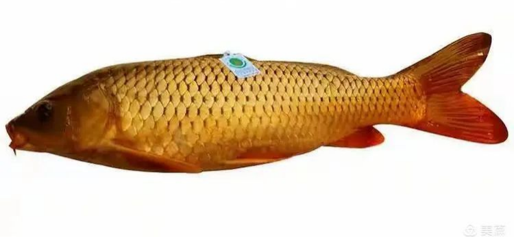 图片5.png 图片5.png